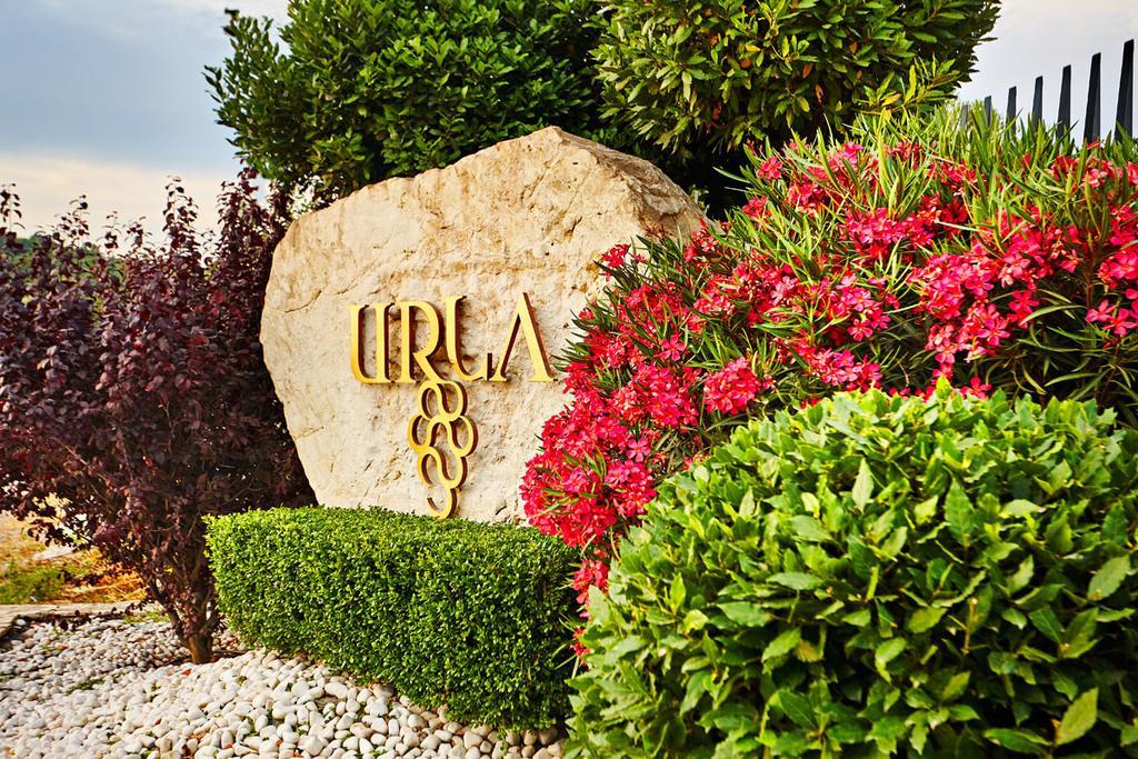 Two Rooms Hotel Urla Extérieur photo